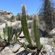 Baja2011 1062 : Baja2011